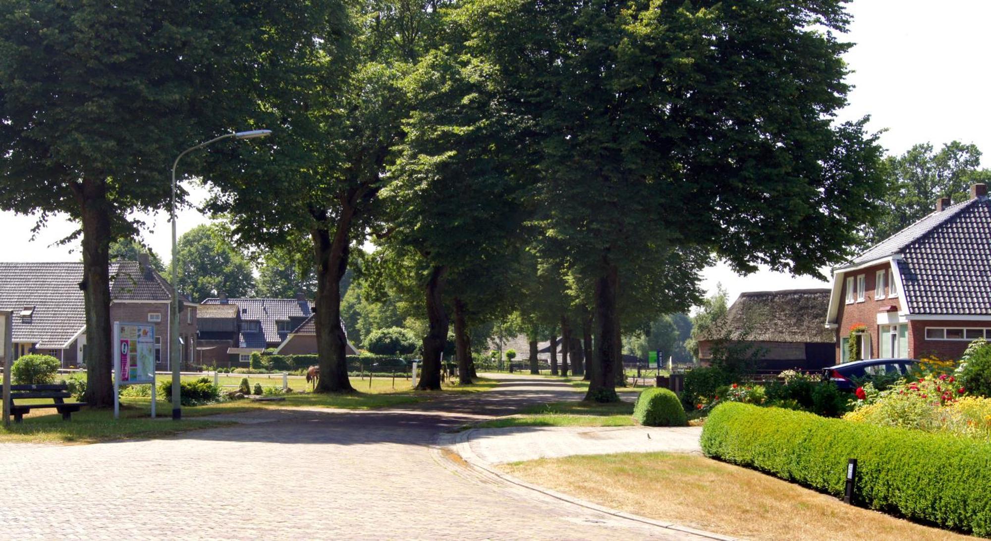 Gasterij De Koekoekshof Hotell Elp Exteriör bild