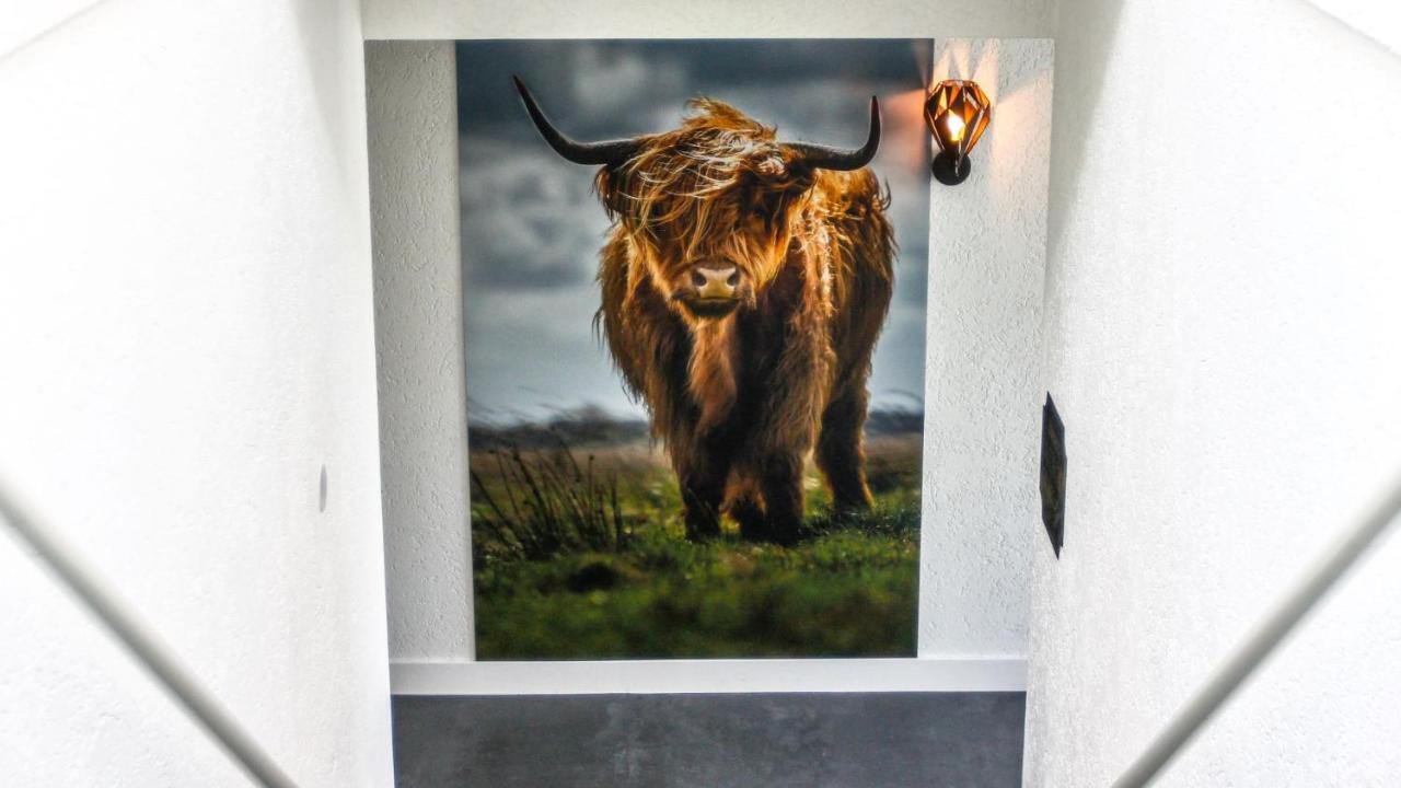 Gasterij De Koekoekshof Hotell Elp Exteriör bild